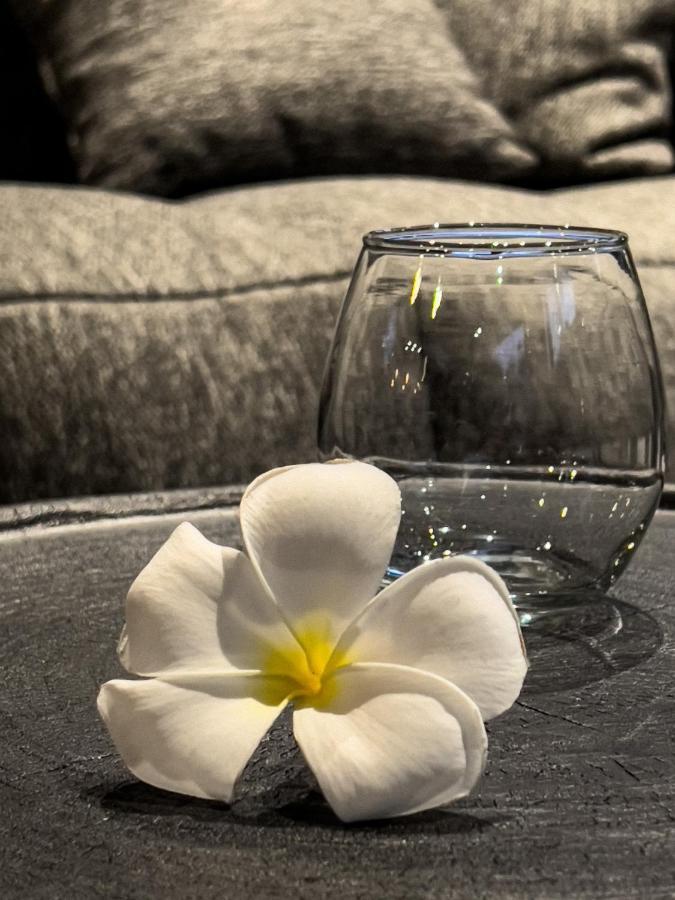 Aloha Villas - Modern Villas With Private Pool And Lush Gardens Kuta  외부 사진